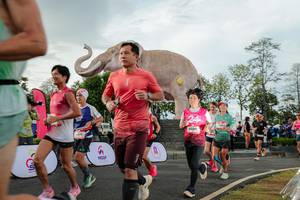 BIB: 
                            <button type="button" onclick="openModal(26528304)" class="btn btn-primary btn-sm float-right btn-popup" data-toggle="modal" data-target=".modal-high-quality">
                        <i class="fas fa-shopping-cart"></i> Add to Cart
                    </button>
                                            <button type="button" onclick="isThisMe(26528304, true)" class="btn btn-success btn-sm float-right btn-popup btn-isme hidden" data-toggle="tooltip" data-placement="bottom" title="นี่คือรูปของคุณใช่ไหม คลิกที่นี่เพื่อเอาเข้าอัลบั้ม">
                        <i class="fas fa-plus"></i> Add to album
                    </button>
                    <button type="button" onclick="isThisMe(26528304, false)" class="btn btn-warning btn-sm float-right btn-popup btn-isnotme hidden">
                        <i class="fas fa-ban"></i> Remove from album
                    </button>